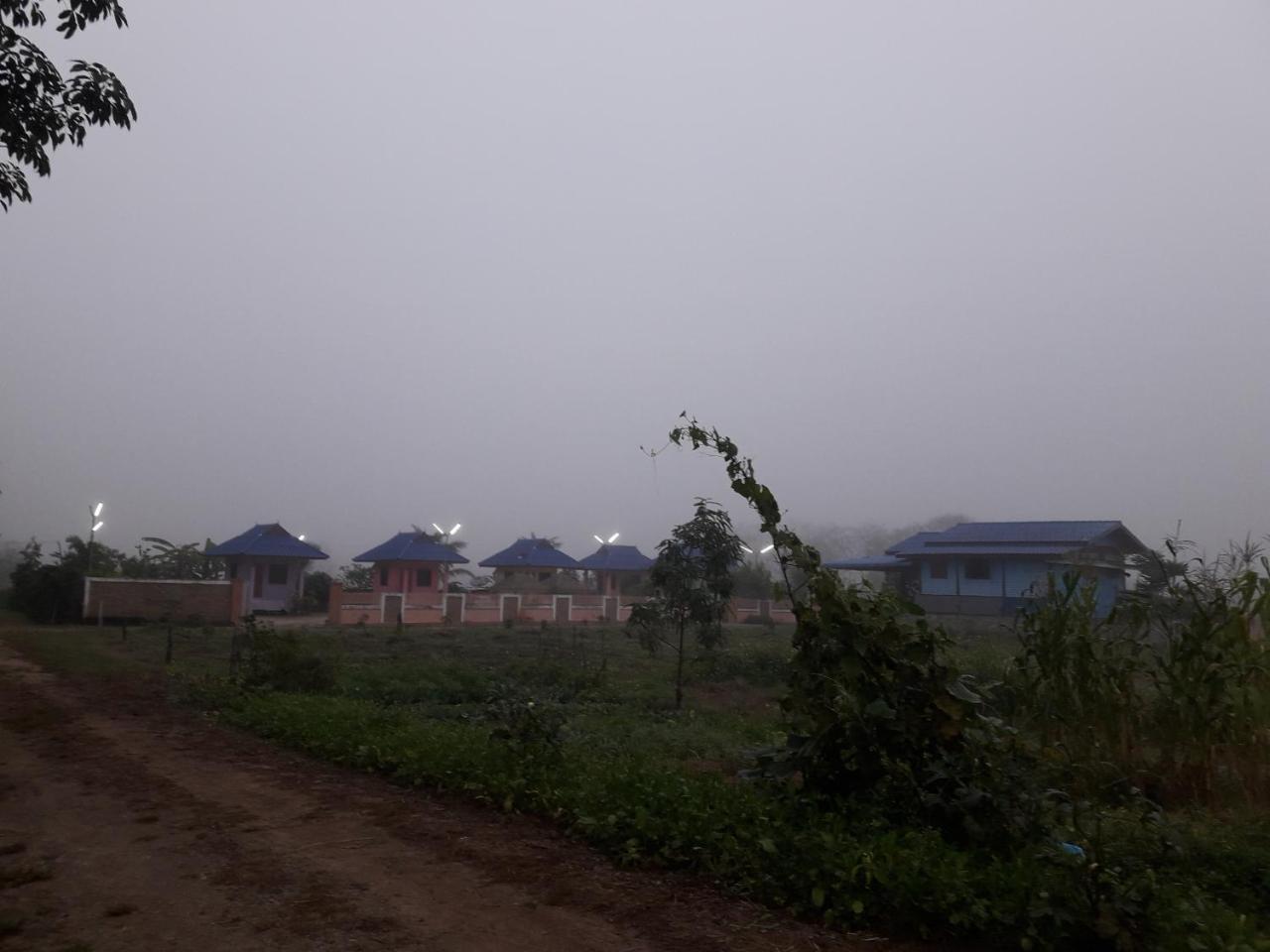 Panna Kalong * Chiang Khong